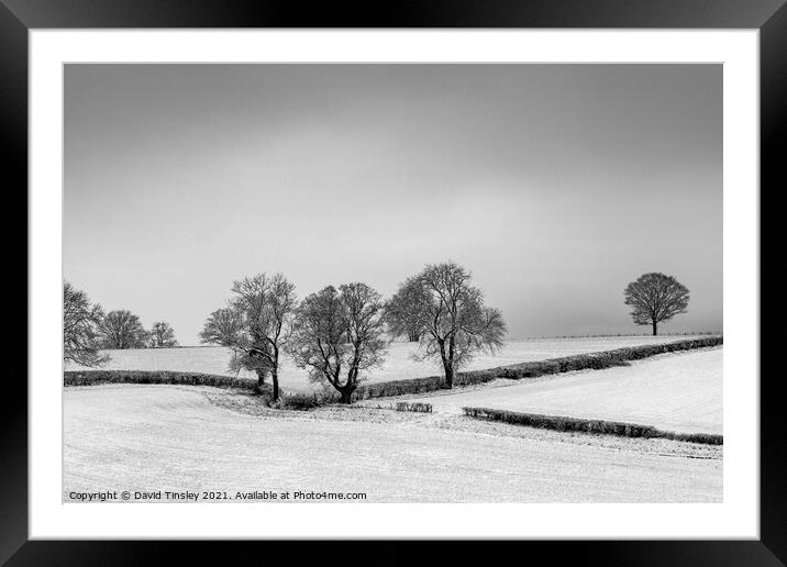 Snowy Oak Landscape Framed Mounted Print by David Tinsley