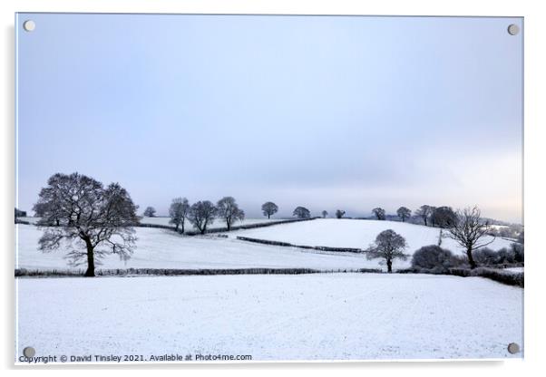 Snowy Landscape Acrylic by David Tinsley