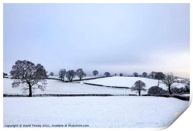 Snowy Landscape Print by David Tinsley