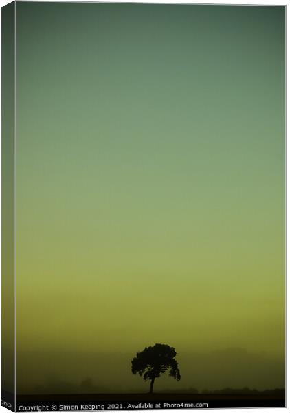 LONE TREE ON A MISTY MORNING Canvas Print by Simon Keeping
