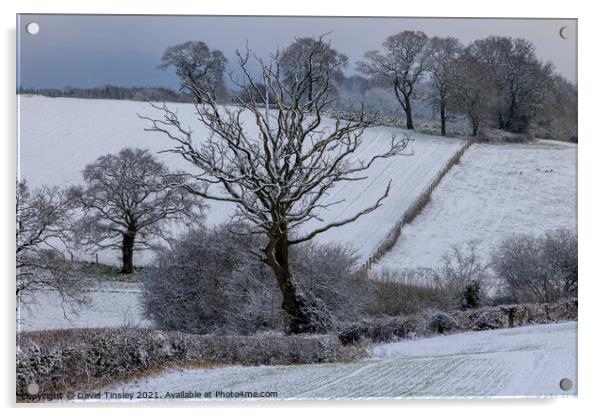 Rural Snowy Landscape Acrylic by David Tinsley