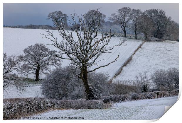 Rural Snowy Landscape Print by David Tinsley