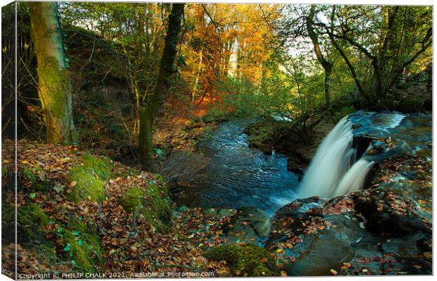 Autumn scene at Crackpot falls in the Yorkshire dales 146 Canvas Print by PHILIP CHALK