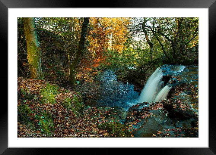 Autumn scene at Crackpot falls in the Yorkshire dales 146 Framed Mounted Print by PHILIP CHALK