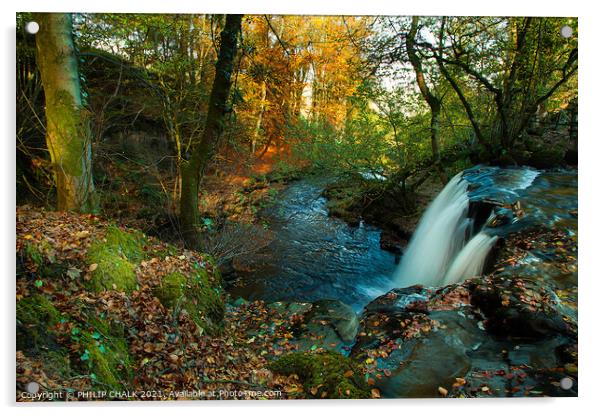 Autumn scene at Crackpot falls in the Yorkshire dales 146 Acrylic by PHILIP CHALK