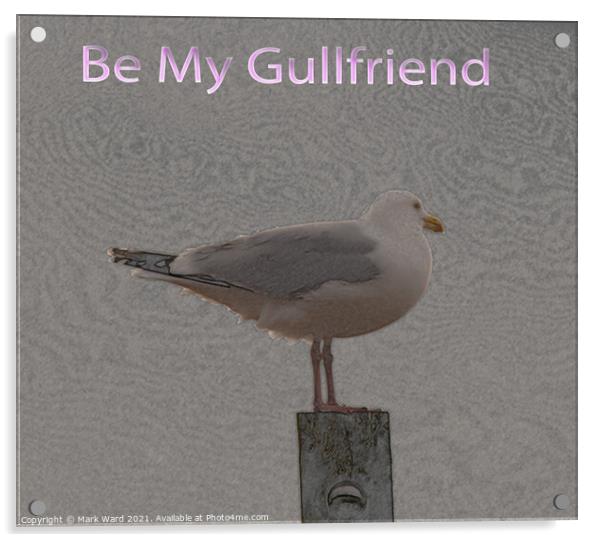 Be My Gullfriend Acrylic by Mark Ward