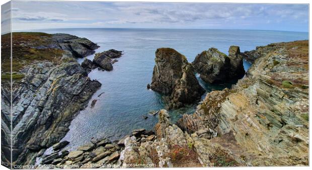 Anglesey Coast 3 Canvas Print by Peter Brownlow