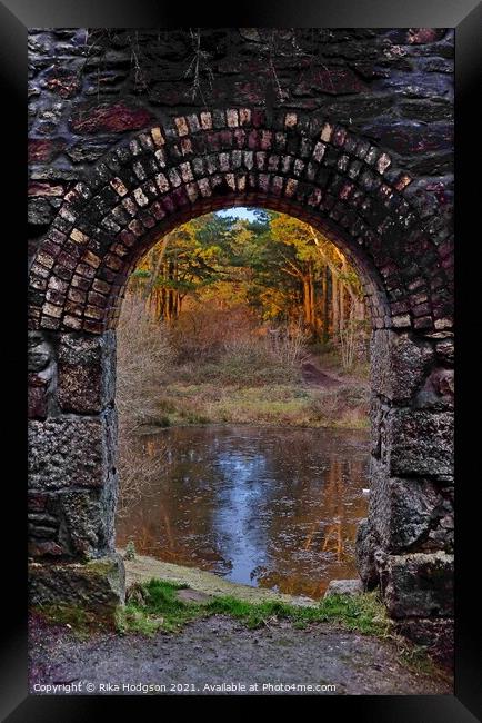Window to nature, United Downs, Cornwall, England Framed Print by Rika Hodgson