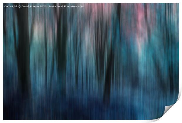 Woodland Abstract  Print by David Pringle