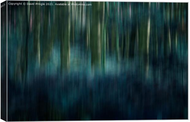 Woodland Abstract  Canvas Print by David Pringle