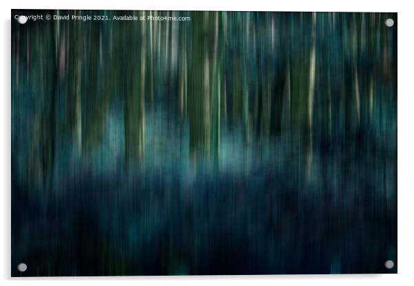 Woodland Abstract  Acrylic by David Pringle