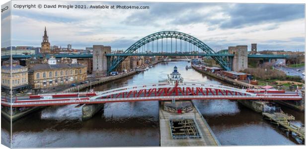 Newcastle Quayside Bridges Canvas Print by David Pringle