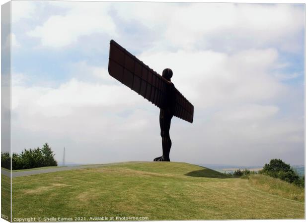 Angel of the North  Canvas Print by Sheila Eames