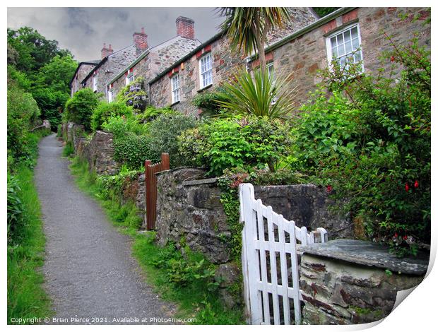 Stippy-Stappy, St Agnes, Cornwall Print by Brian Pierce