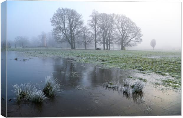 Winter magic Rickerby Park Canvas Print by Michael Brookes