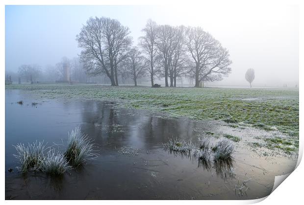 Winter magic Rickerby Park Print by Michael Brookes