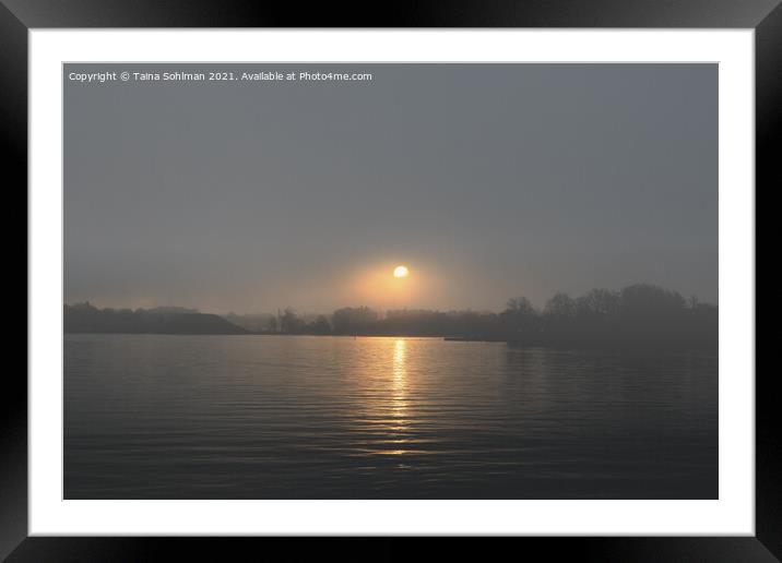 Sunrise Through November Fog Framed Mounted Print by Taina Sohlman
