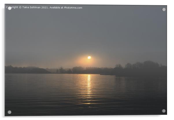 Sunrise Through November Fog Acrylic by Taina Sohlman
