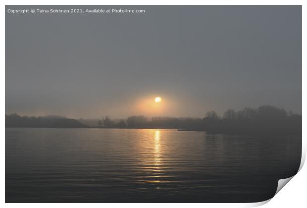 Sunrise Through November Fog Print by Taina Sohlman