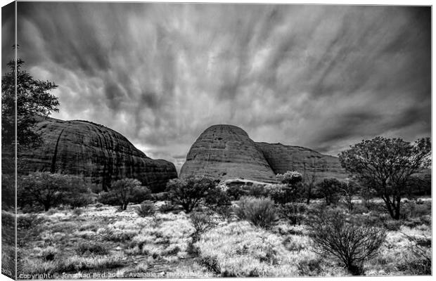The Olgas in Monochrome Canvas Print by Jonathan Bird