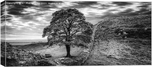 Sycamore Gap Hadrian's Wall, Iconic Northumberland Canvas Print by K7 Photography