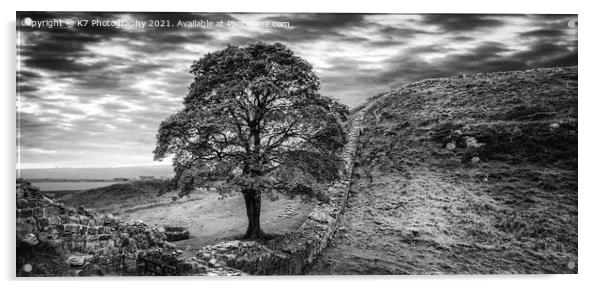 Sycamore Gap Hadrian's Wall, Iconic Northumberland Acrylic by K7 Photography