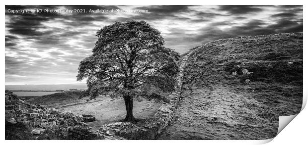 Sycamore Gap Hadrian's Wall, Iconic Northumberland Print by K7 Photography