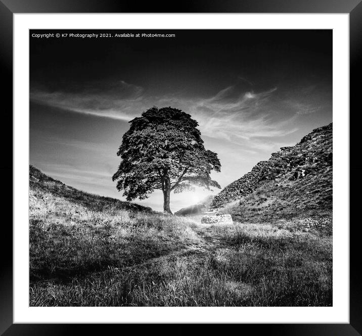 Sycamore Gap, Hadrians Wall, Iconic Northumberland Framed Mounted Print by K7 Photography