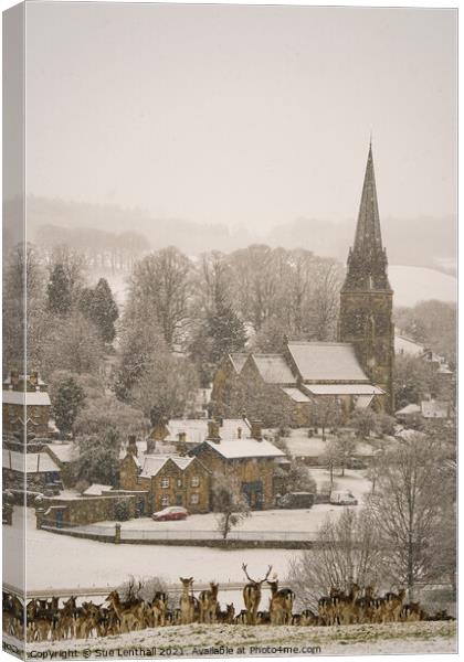 Deer rest in the snowfall admiring the pretty village of Edensor Canvas Print by Sue Lenthall