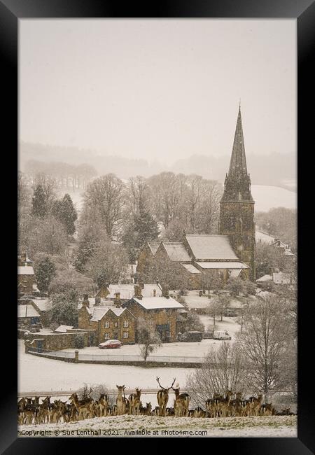 Deer rest in the snowfall admiring the pretty village of Edensor Framed Print by Sue Lenthall