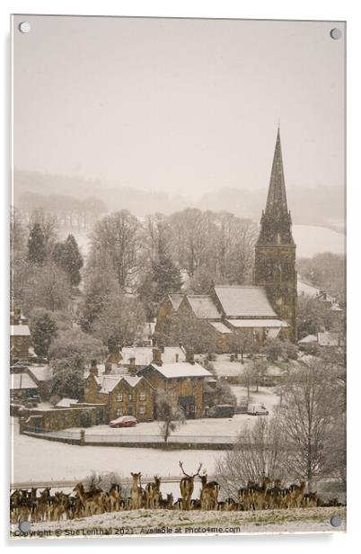 Deer rest in the snowfall admiring the pretty village of Edensor Acrylic by Sue Lenthall