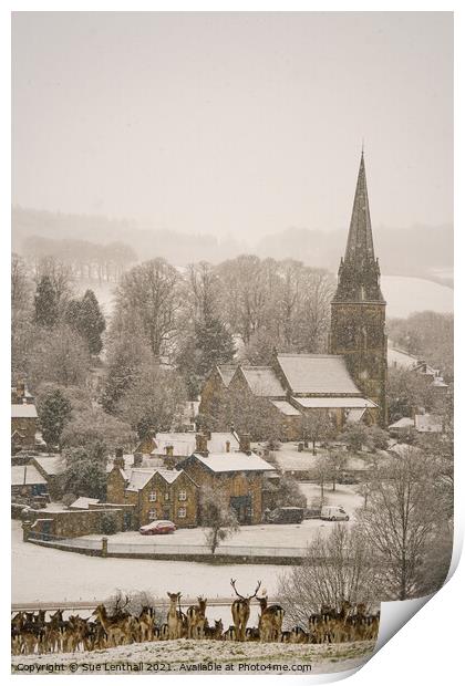 Deer rest in the snowfall admiring the pretty village of Edensor Print by Sue Lenthall