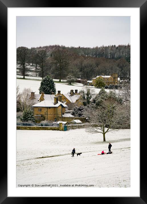 Fun in the snow  Framed Mounted Print by Sue Lenthall