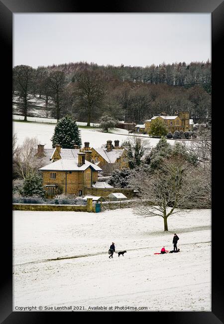 Fun in the snow  Framed Print by Sue Lenthall