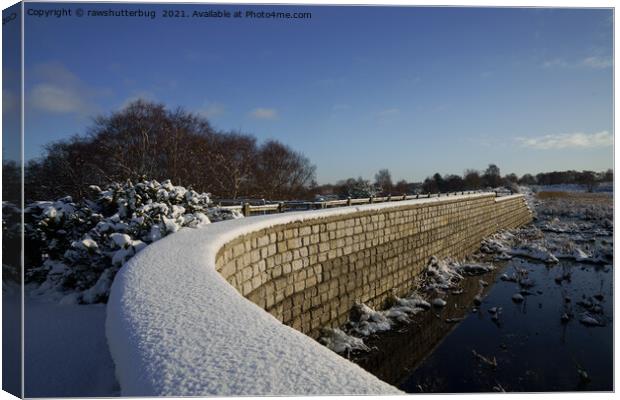 Snow Covered Landscape At Chasewater Country Park Canvas Print by rawshutterbug 