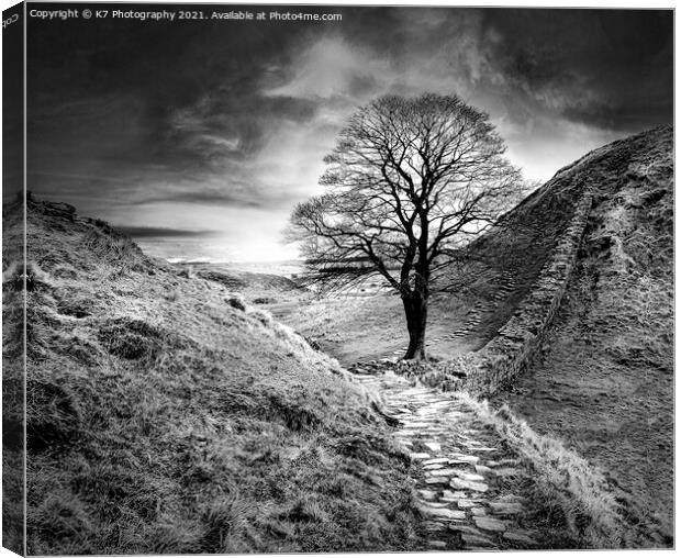 Sycamore Gap, Hadrians Wall, Northumberland Canvas Print by K7 Photography
