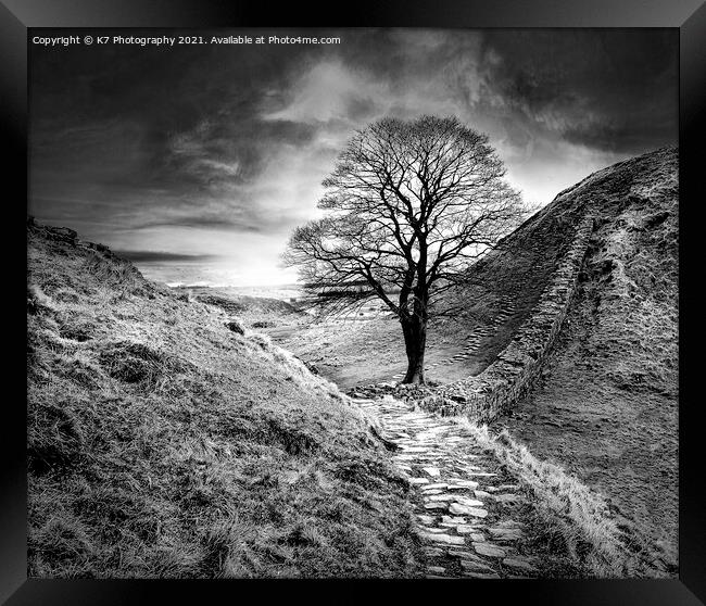 Sycamore Gap, Hadrians Wall, Northumberland Framed Print by K7 Photography