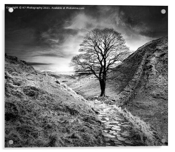 Sycamore Gap, Hadrians Wall, Northumberland Acrylic by K7 Photography