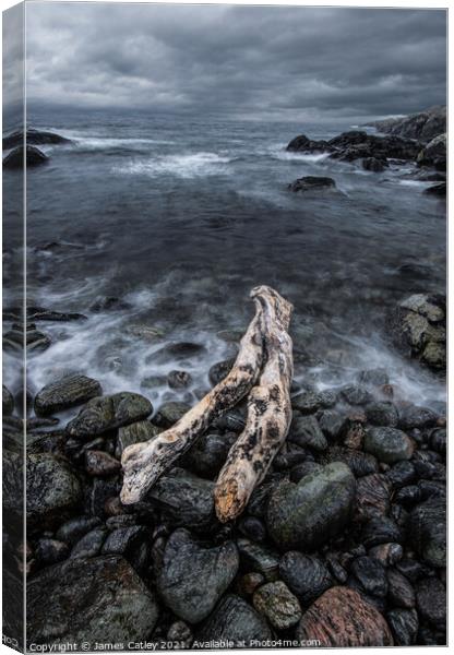 Highland driftwood Canvas Print by James Catley