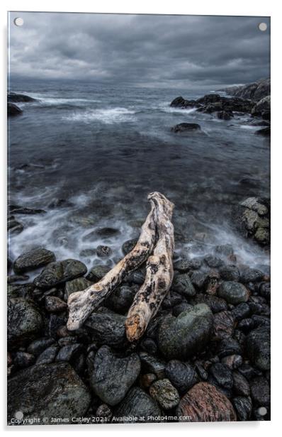 Highland driftwood Acrylic by James Catley