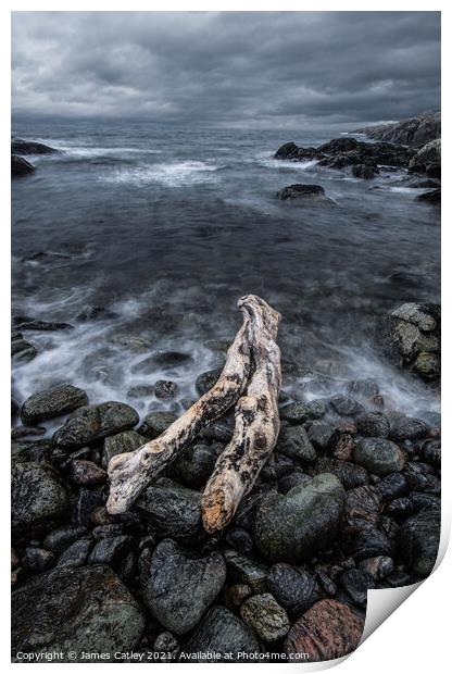 Highland driftwood Print by James Catley