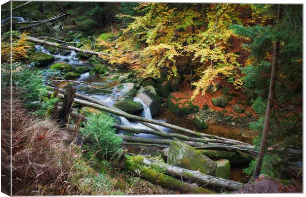 Forest Stream With Fallen Trees Canvas Print by Artur Bogacki