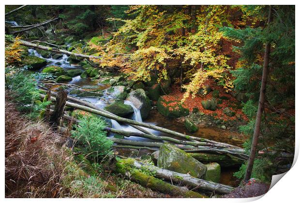 Forest Stream With Fallen Trees Print by Artur Bogacki