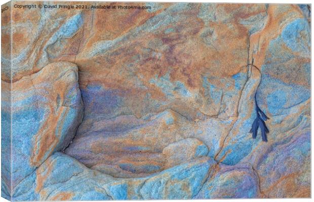 Rock Patterns Canvas Print by David Pringle