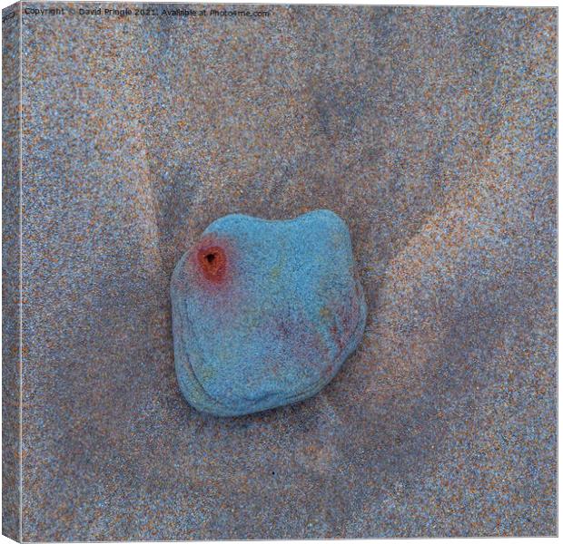 Sand and Stone Canvas Print by David Pringle