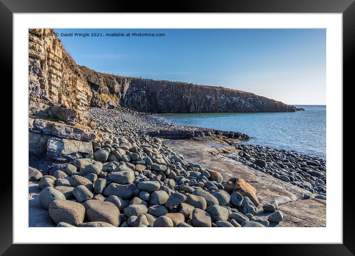 Cullernose Point Framed Mounted Print by David Pringle