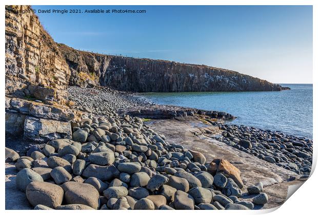 Cullernose Point Print by David Pringle