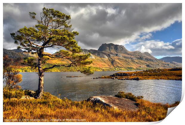 Slioch and Loch Maree Print by Chris Drabble