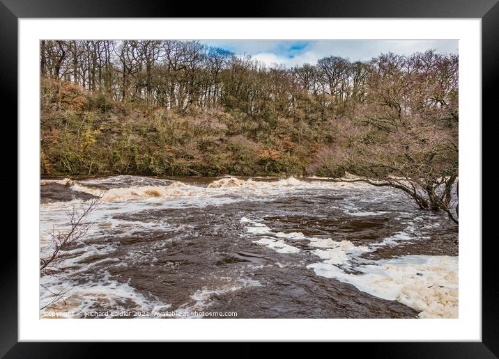 The River Tees in Full Flood at Whorlton (1) Framed Mounted Print by Richard Laidler