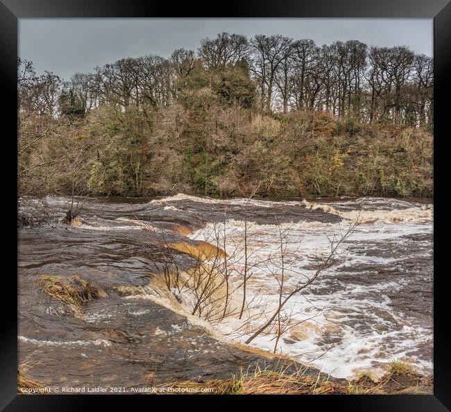 The River Tees in Full Flood at Whorlton (2) Framed Print by Richard Laidler